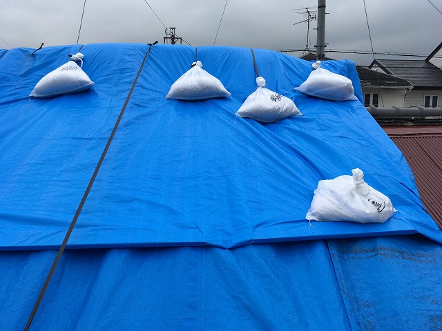 養生中の雨漏りした屋根